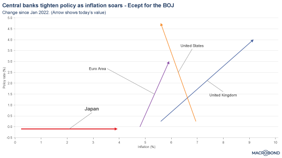 Is cash king given higher rates? Examining the alternatives for asset allocation
